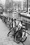 子供が自転車保険に入る必要性について